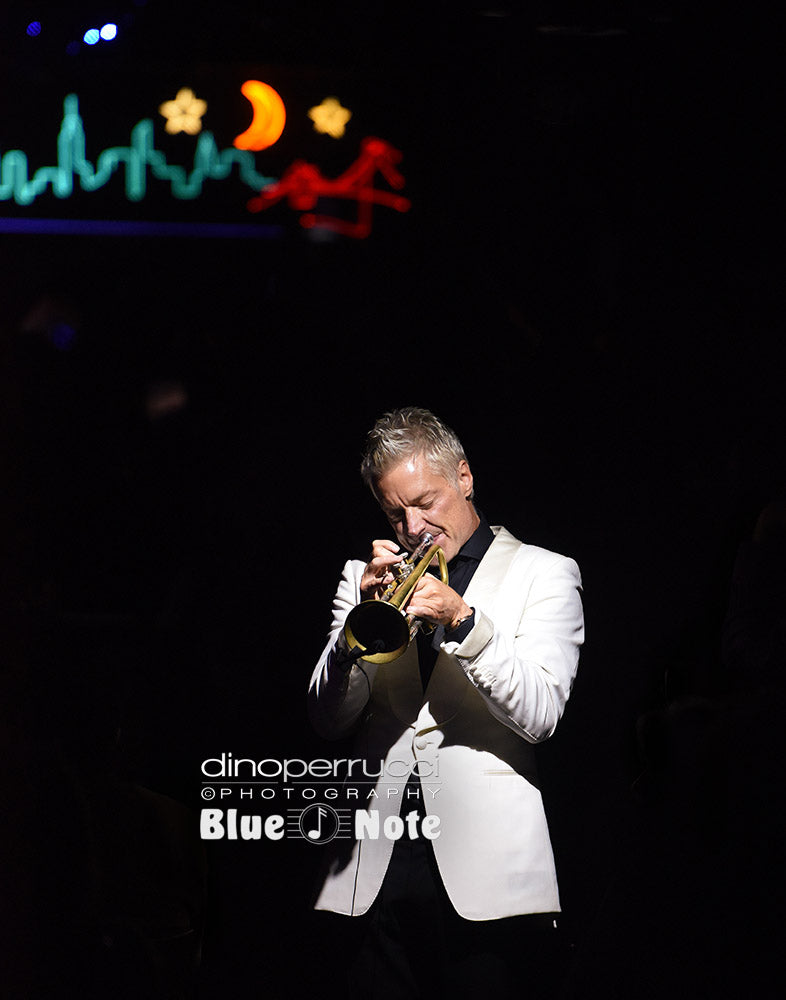 Dino Perrucci Canvas Chris Botti
