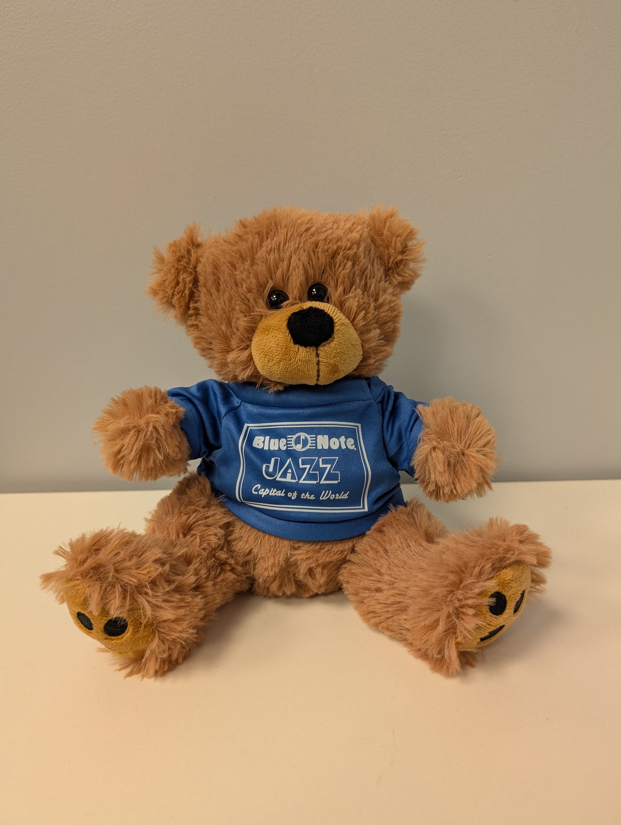 Teddy Bear